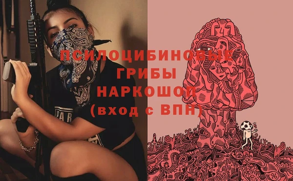 сатива Алзамай