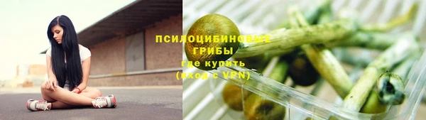 шишки Алексеевка