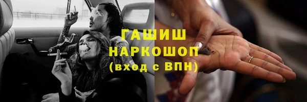 сатива Алзамай