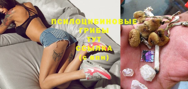 шишки Алексеевка