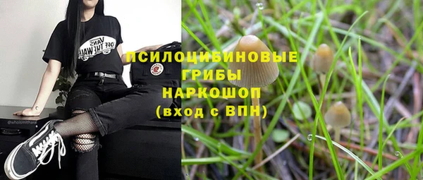 сатива Алзамай