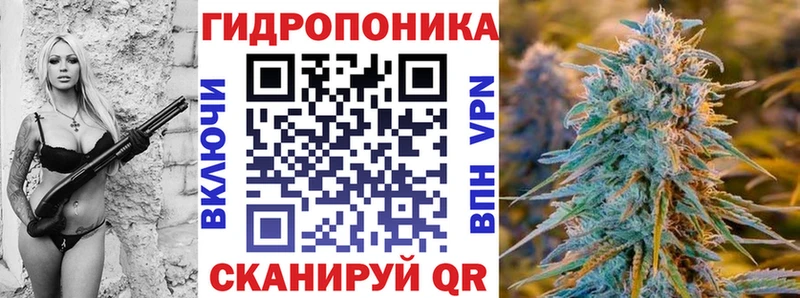 Бошки Шишки индика  наркотики  Пласт 